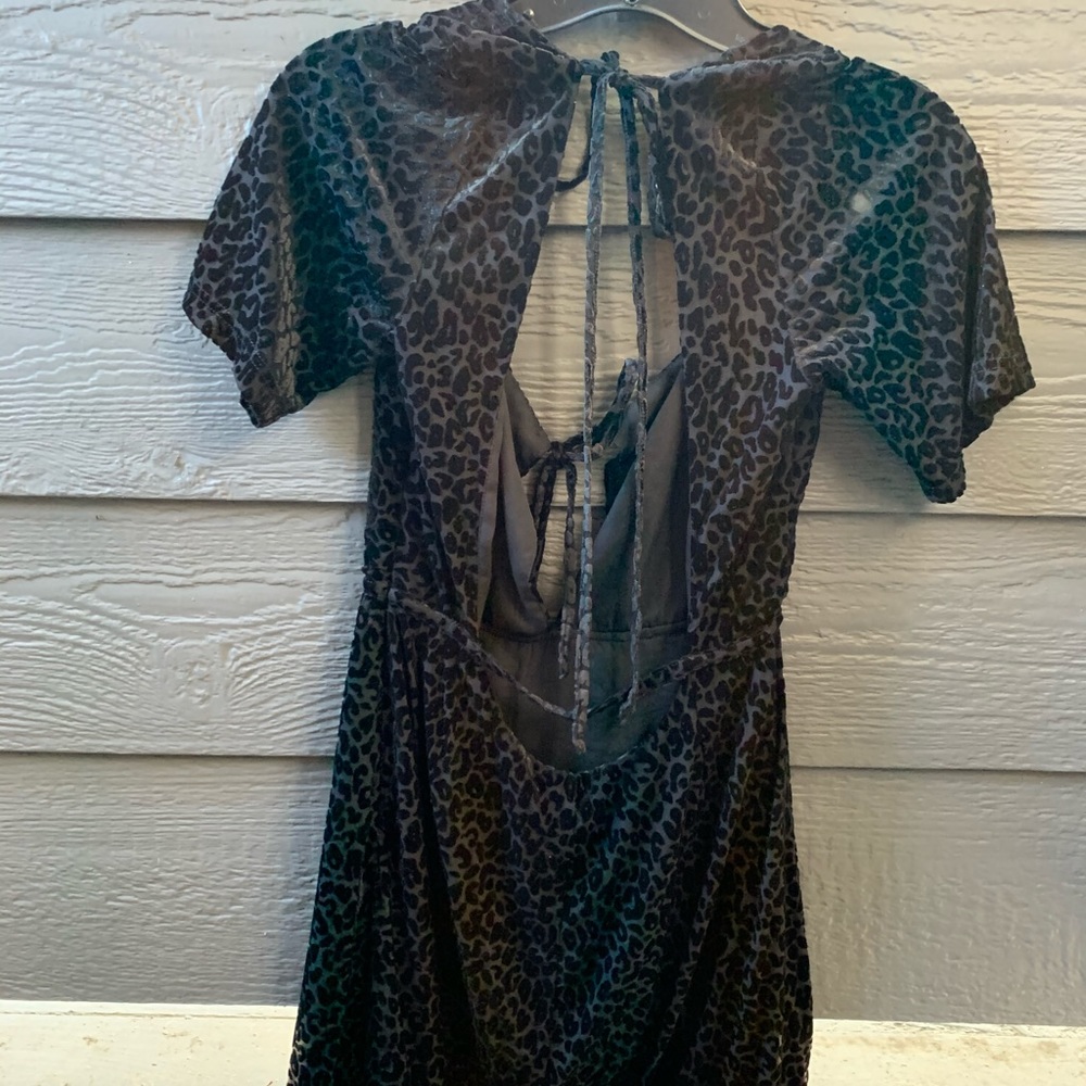 Black velvet animal print HoneyPunch dress - Picture 4 of 4